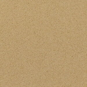 Cambrian Gold – DISCONTINUED