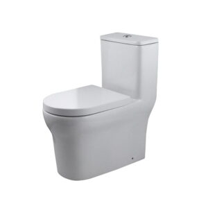 New NK One toilet