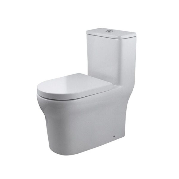 New NK One toilet